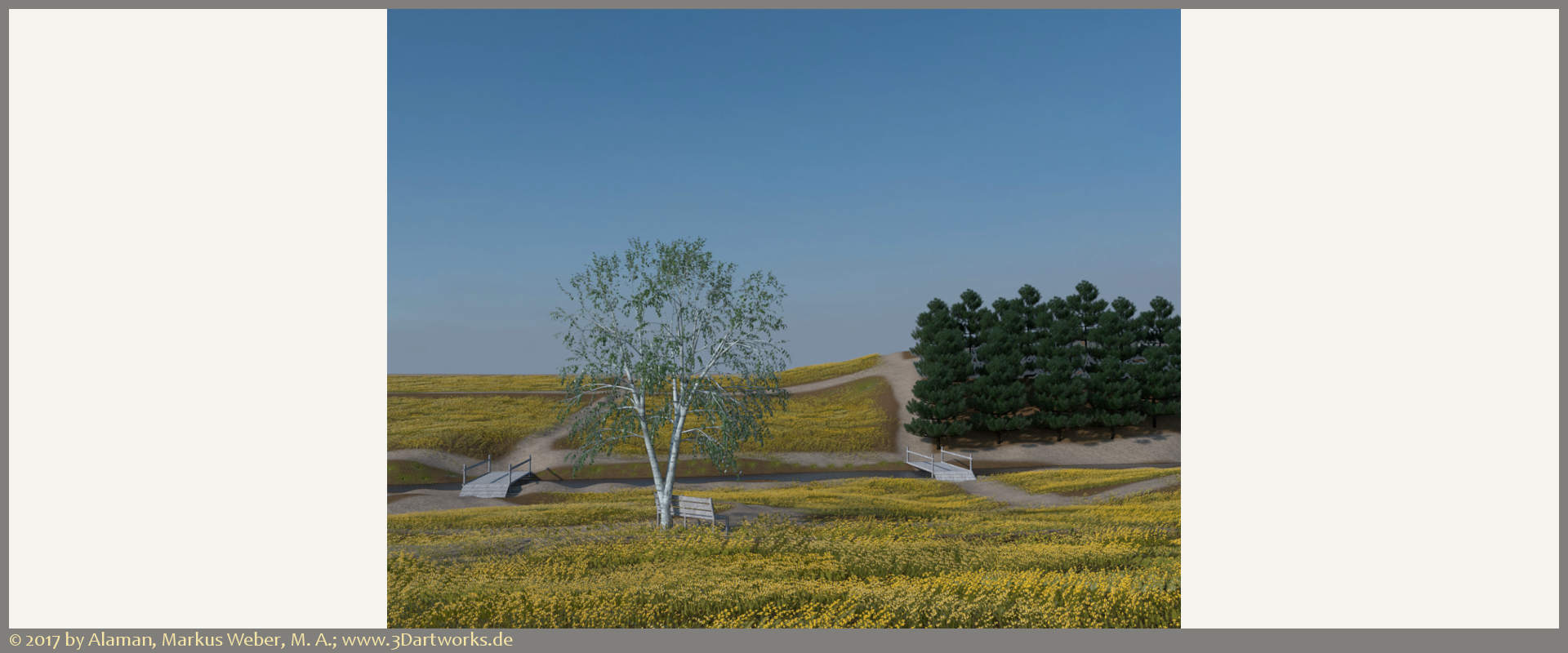 Travaux en cours à Alaman 3D Artworks : nature, planification grossière, image de la nature.